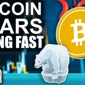 Bitcoin Bears Fading FAST (Crypto Charts Are Still Pumping)