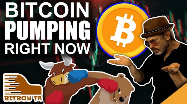 Bitcoin Price Pumping Right Now (Top Indicators To Watch)