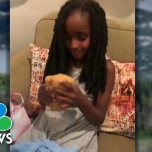 Girl Reunited With Teddy Bear Lost In Glacier Park 1 Year Later