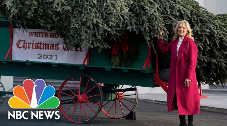 Jill Biden Receives The White House Christmas Tree