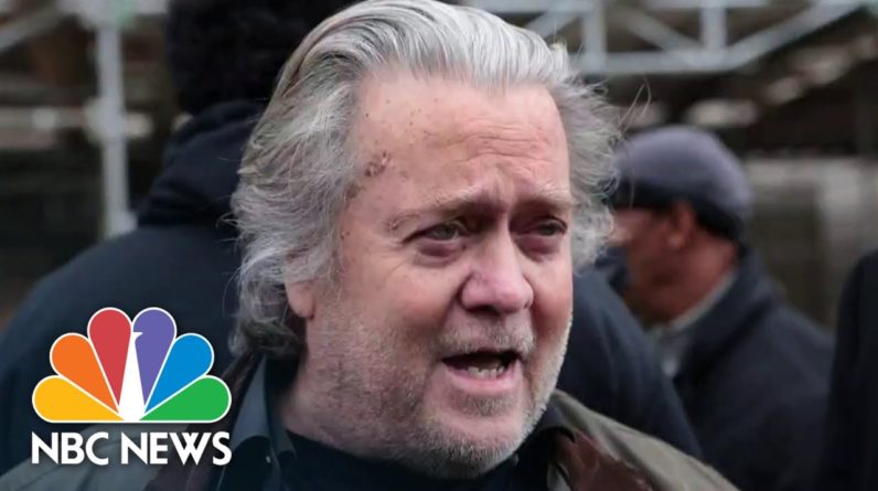 Steve Bannon Due Back In Court After Pleading Not Guilty