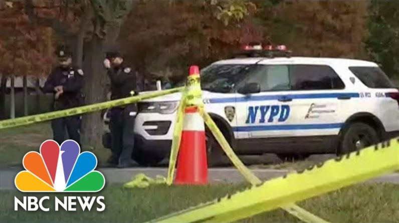 Two Women Allegedly Sexually Assaulted In Central Park