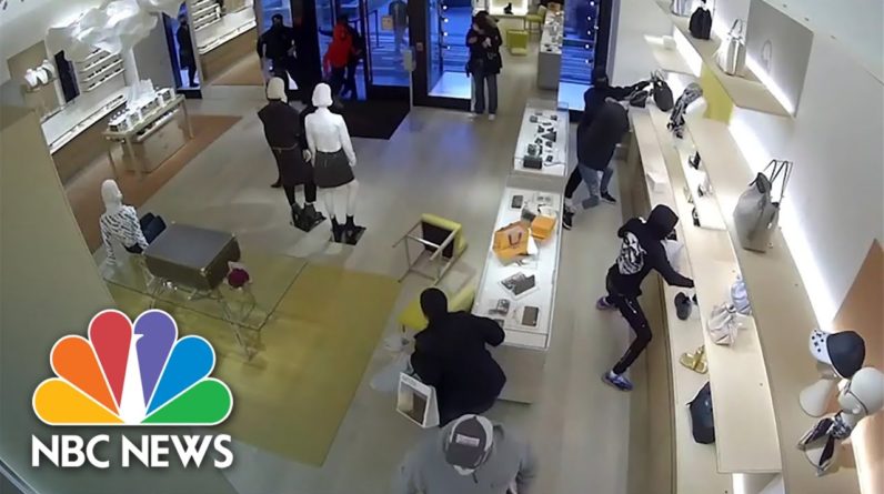 WATCH: Video Shows 14 Suspects Raid Chicago Louis Vuitton Store