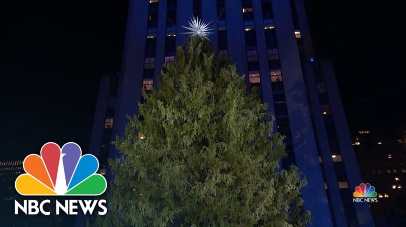 An Up-Close Look At This Year’s Rockefeller Center Christmas Tree