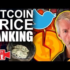 Bitcoin Price Tanking - Here's Why (Michael Saylor Responds to Elons Twitter Takeover)