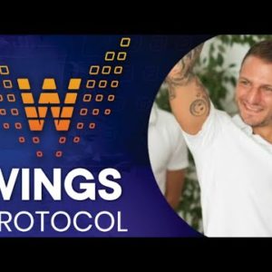 WINGS PROTOCOL - review / interview