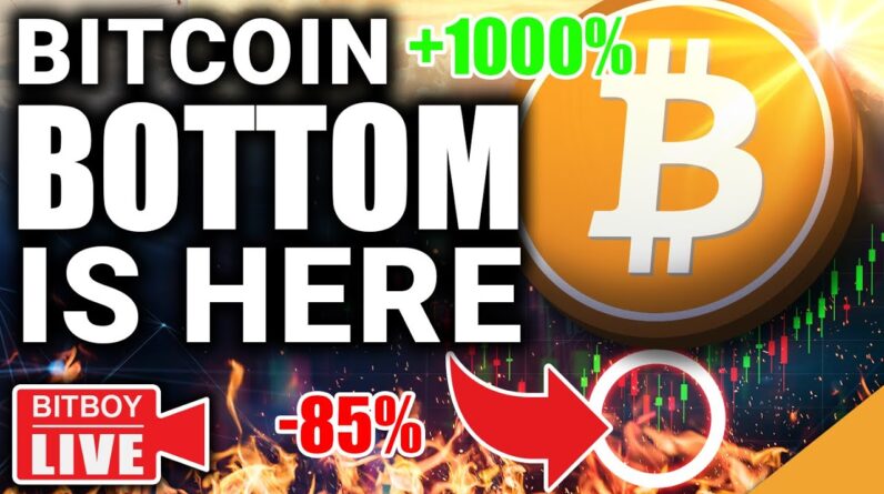 “The BITCOIN Bottom Is IN” (HUGE Claim From Experts Gives Hope For Recovery)