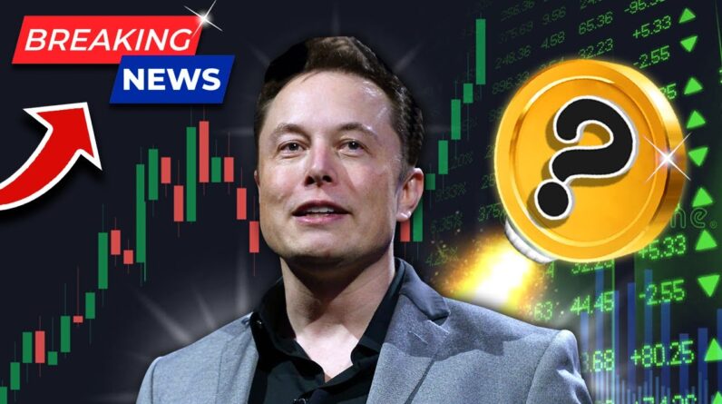 Step Aside Dogecoin…This Crypto Is Elon Musk’s #1 (Elon’s Favorite Crypto)