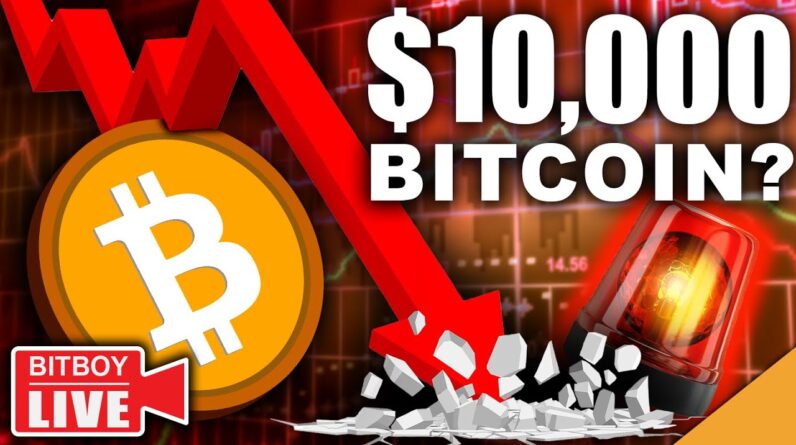 Top 5 Ways To $10,000 BITCOIN (More Stimulus Checks INCOMING)