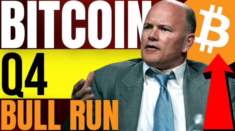 NEXT CRYPTO BULL CYCLE WILL START Q4 OF 2022 PREDICTS BITCOIN BILLIONAIRE MIKE NOVOGRATZ!!